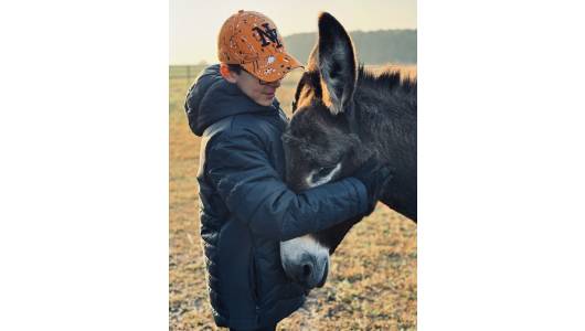 DOMAINE EQUESTRE DOLEXIA & EQUITHERAPIE 