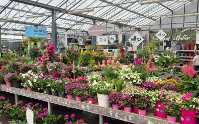 JARDINERIE DU BOIS PARIS